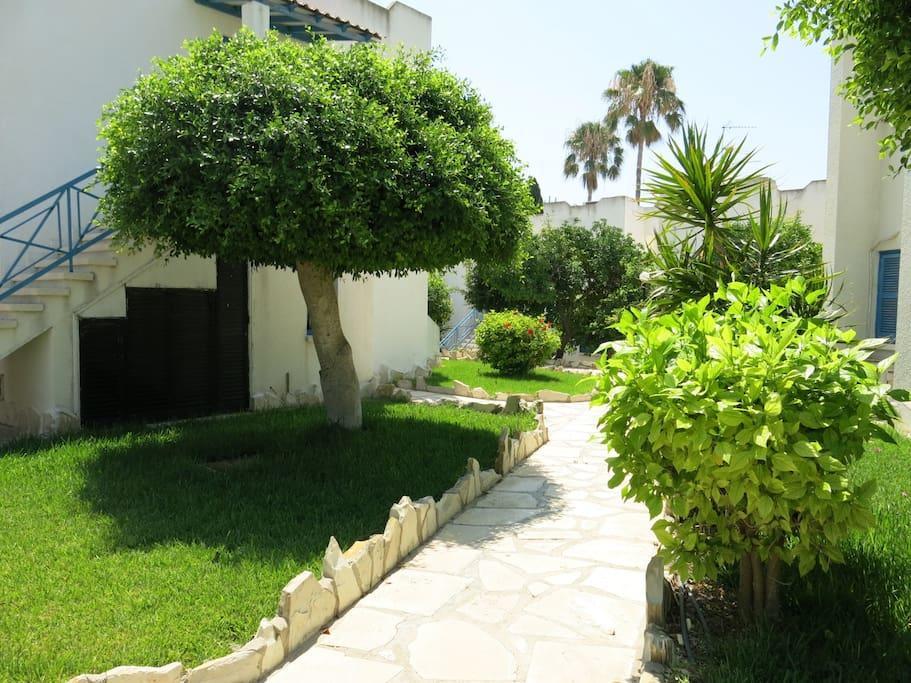 Dhekelia Diamond Apartamento Lárnaca Exterior foto